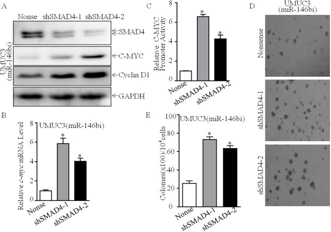 Figure 6