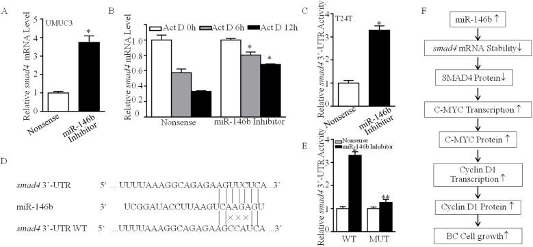 Figure 7