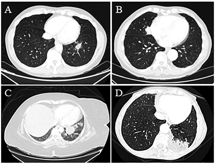 Figure 1