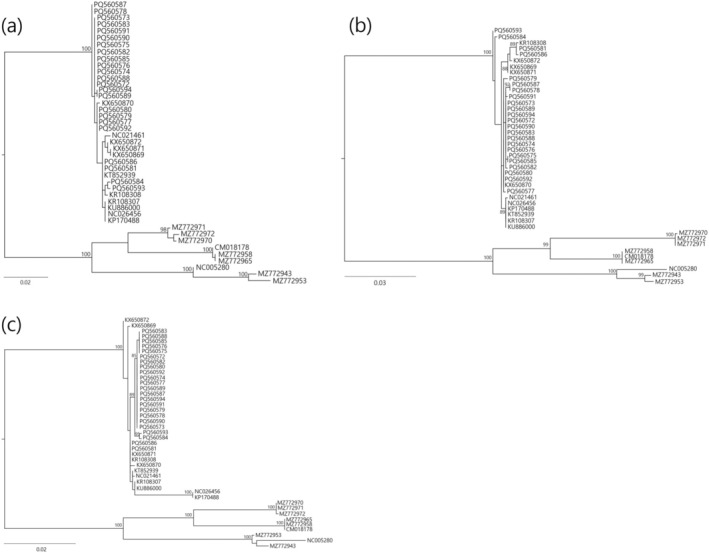 FIGURE 3