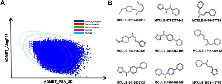 FIGURE 3