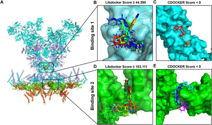 FIGURE 4