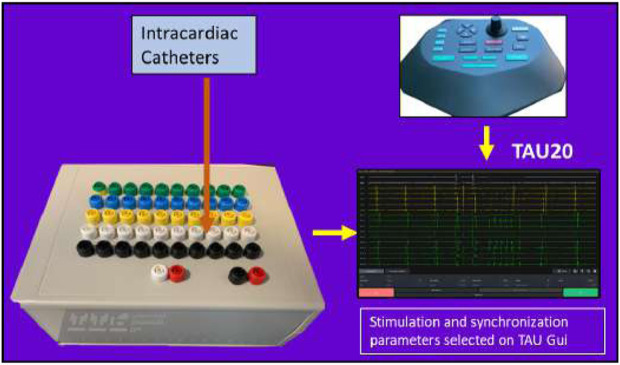 FIGURE 2