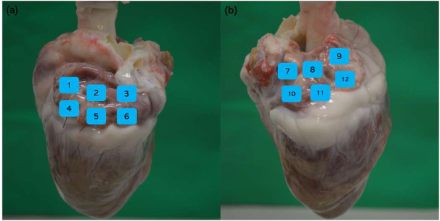FIGURE 4