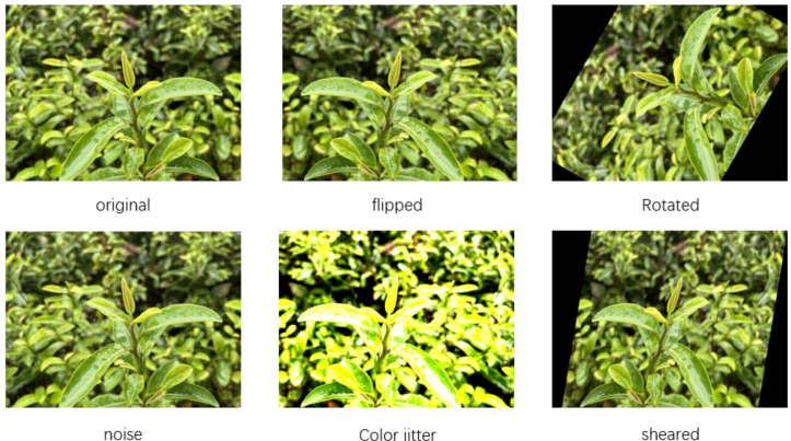 Figure 1