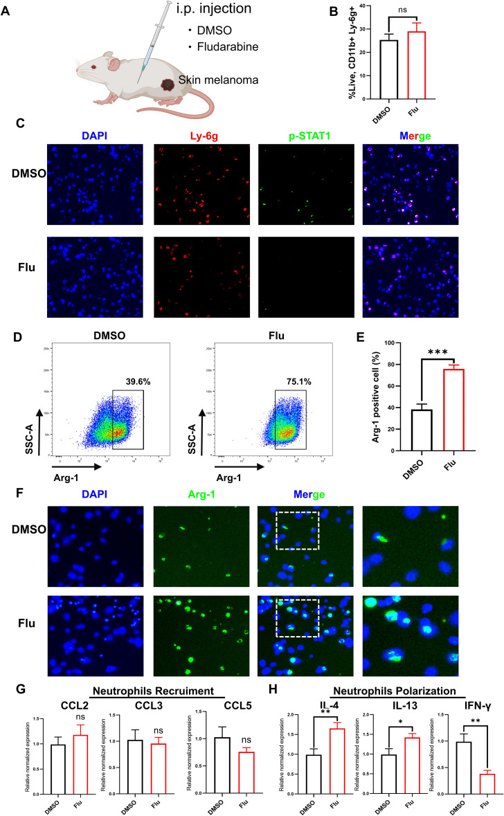 Figure 6