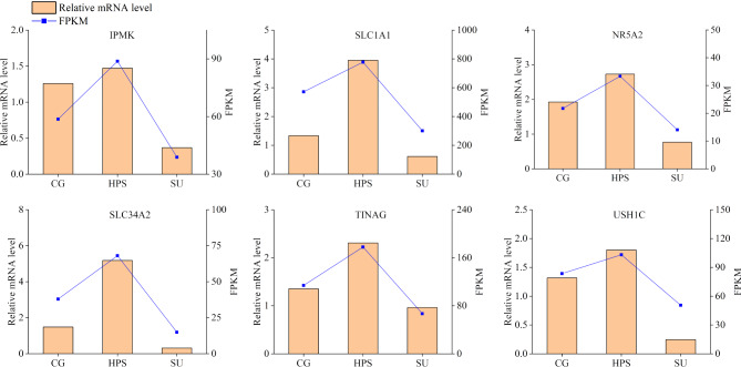 Figure 9