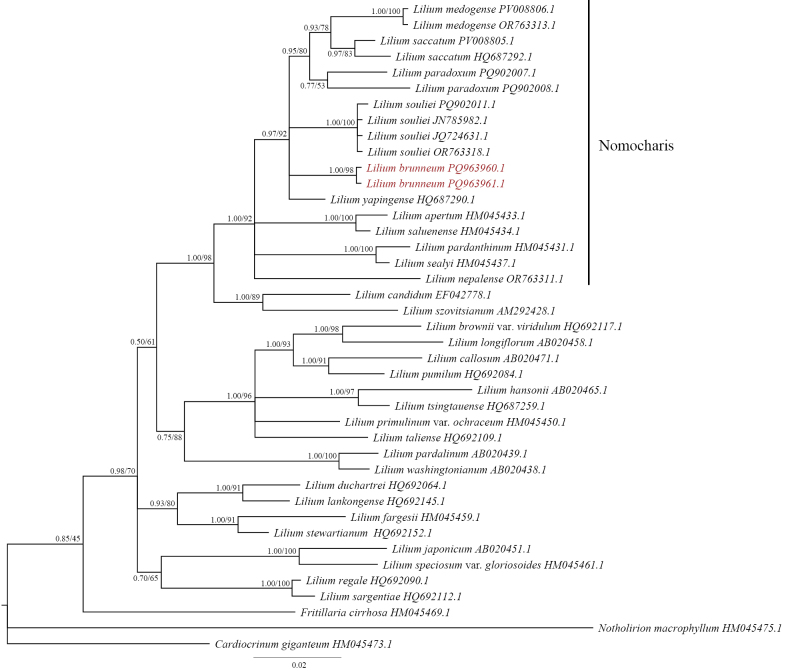 Figure 6