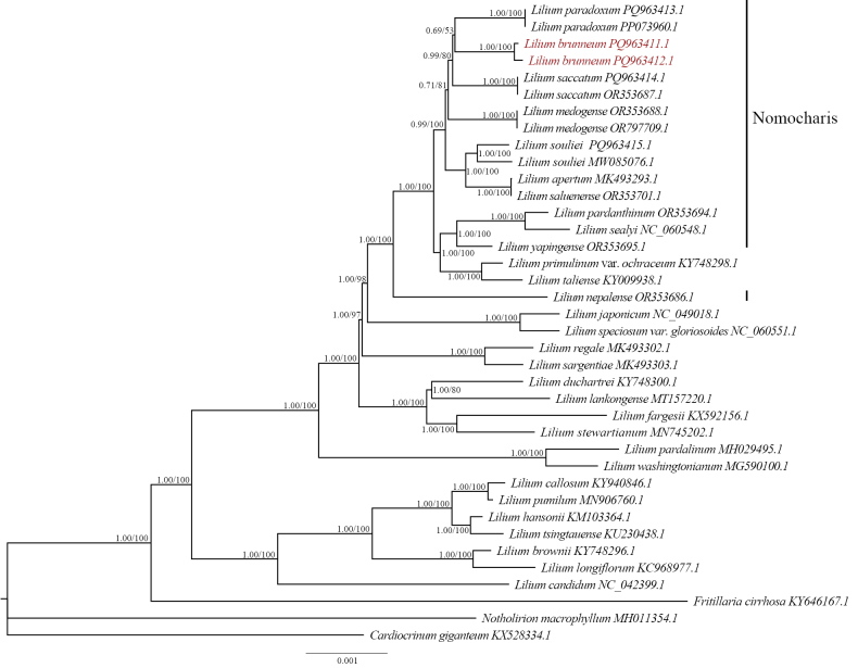 Figure 7