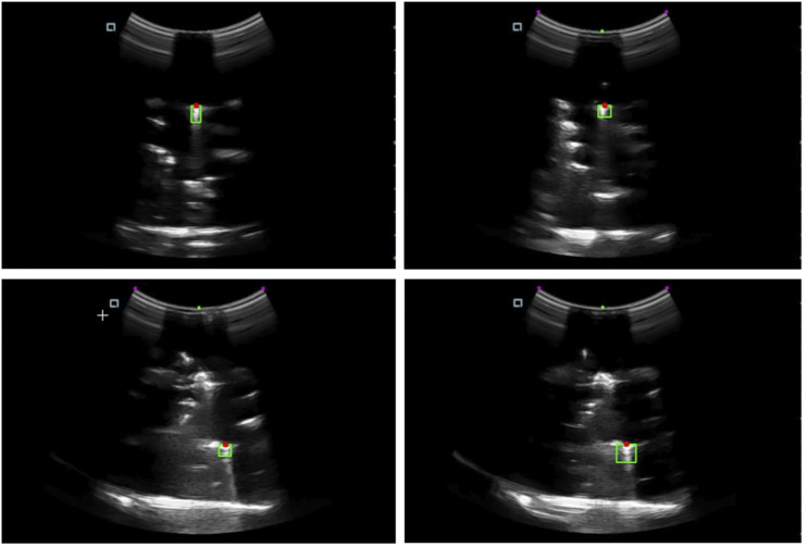 FIGURE 9