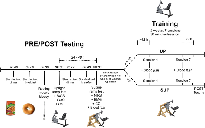 Figure 3