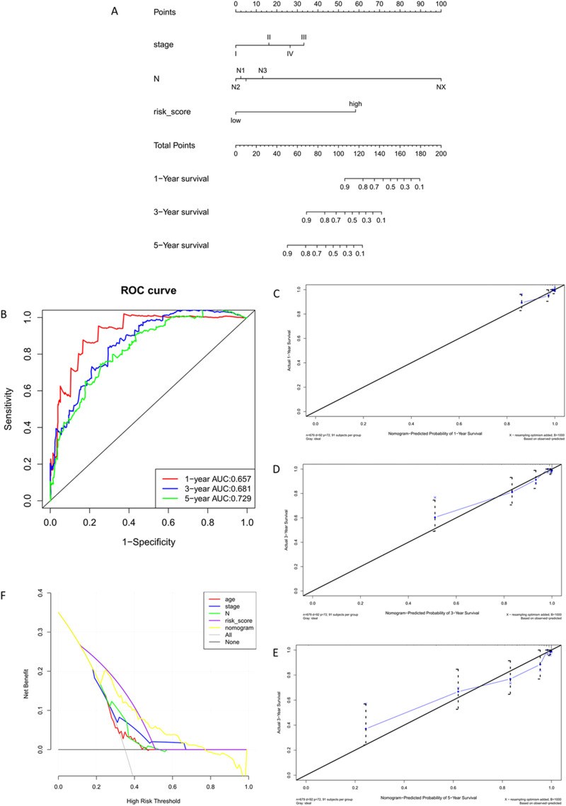 FIGURE 10