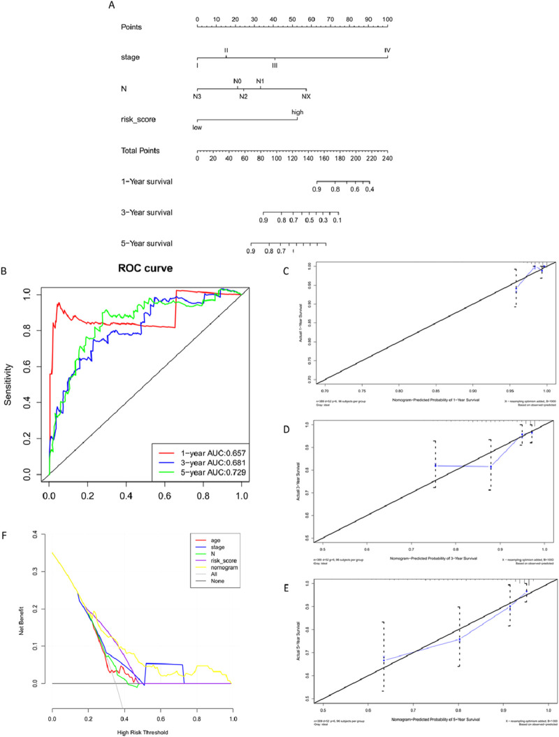 FIGURE 11