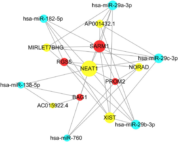 FIGURE 14