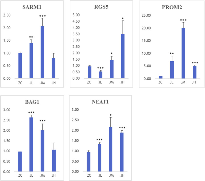 FIGURE 15