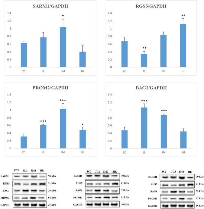 FIGURE 16