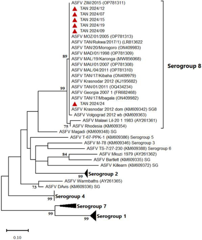 Figure 4