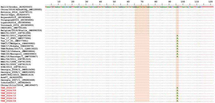 Figure 5