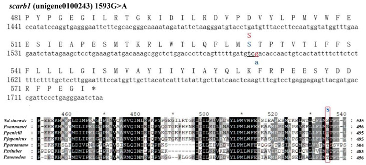 Figure 4