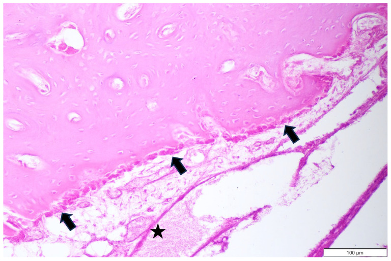 Figure 9