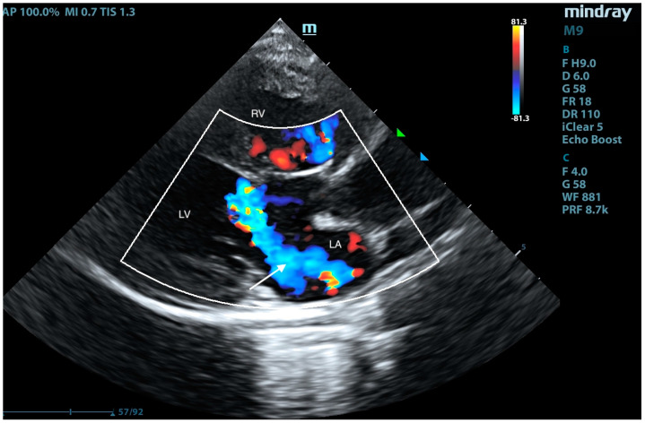 Figure 6