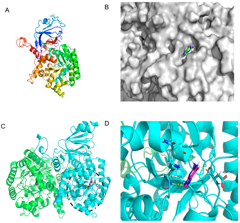 Figure 5