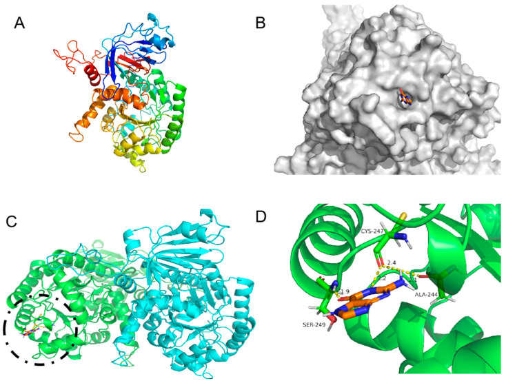 Figure 6