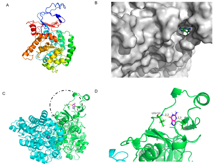 Figure 7