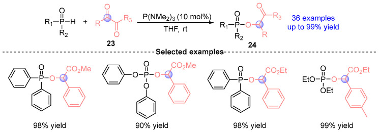 Figure 13