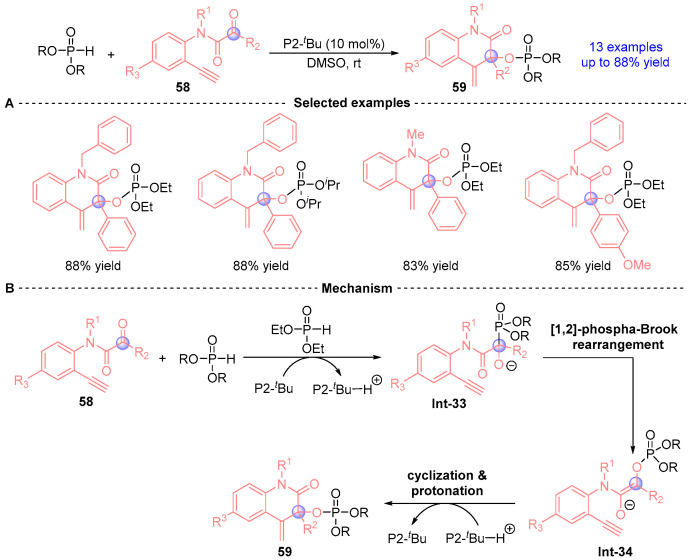 Figure 24