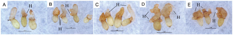 Figure 9