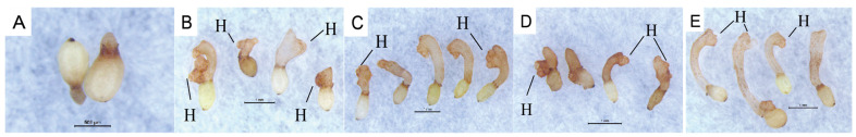 Figure 10