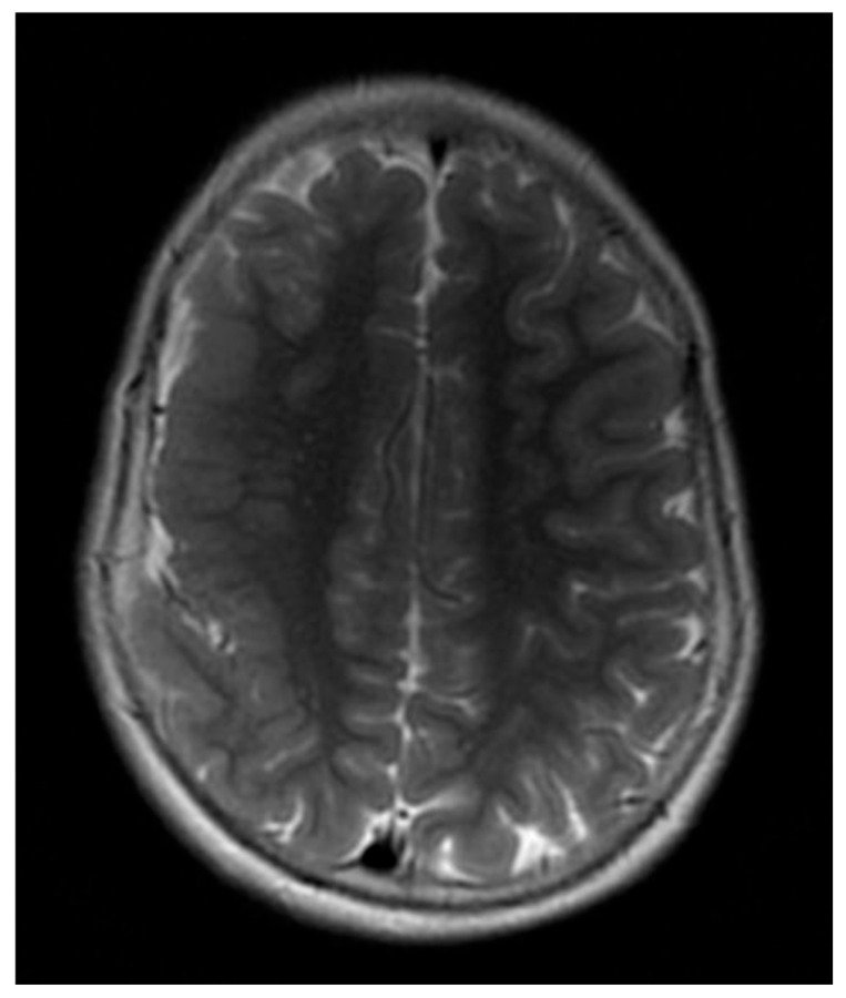 Figure 7