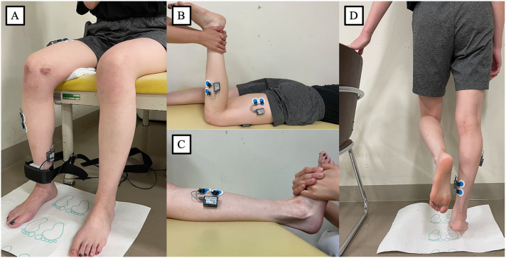 Figure 2