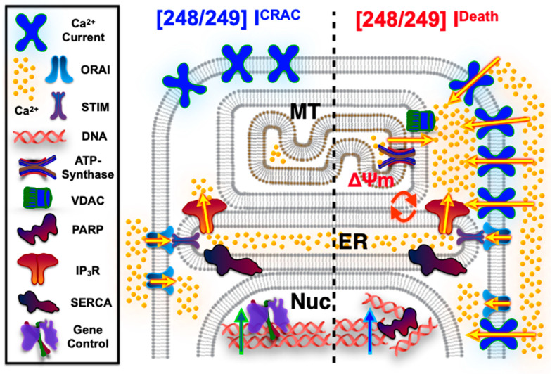 Figure 14