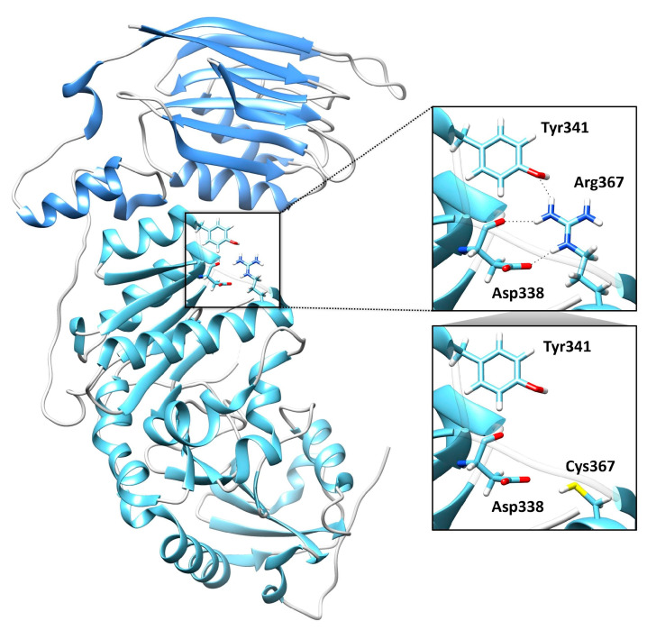 Figure 5