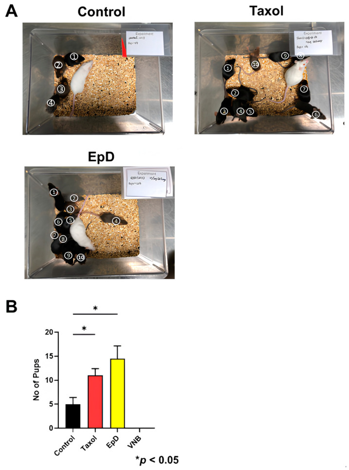 Figure 5