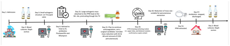 Figure 12