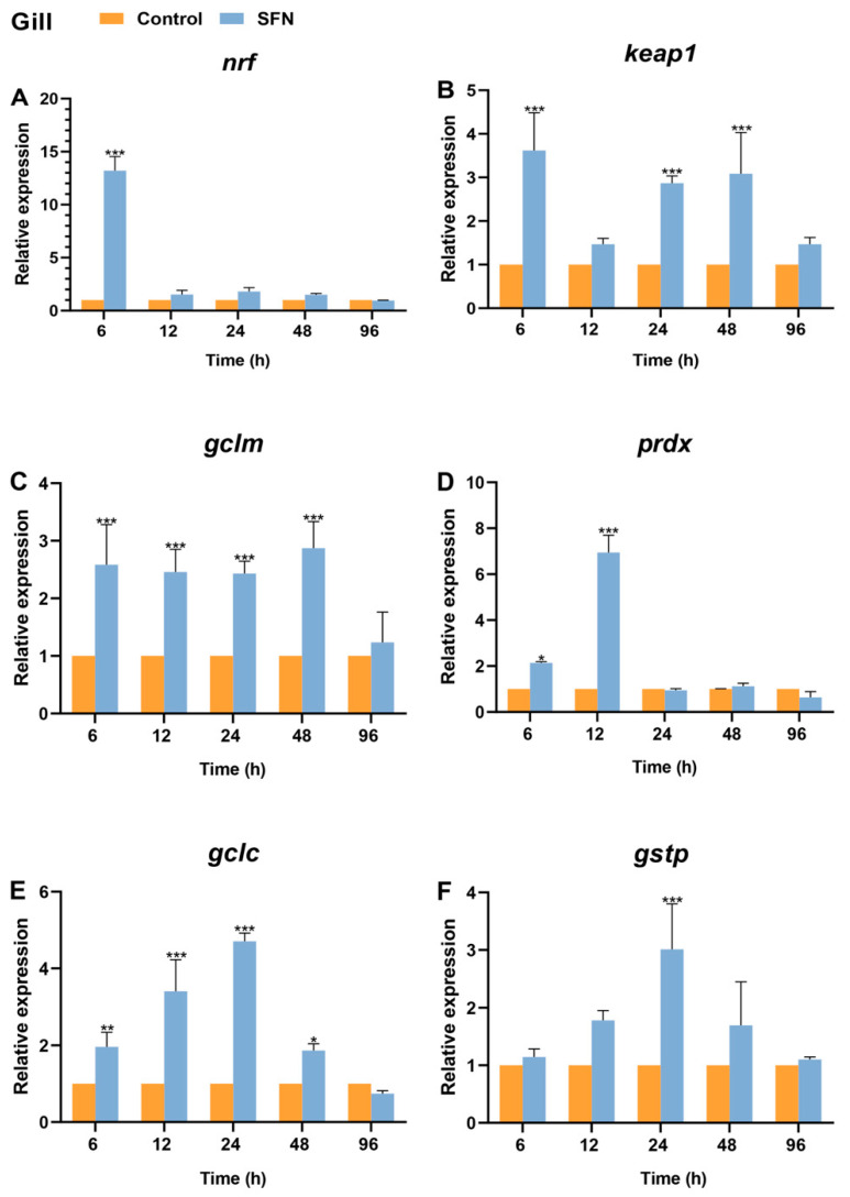Figure 11