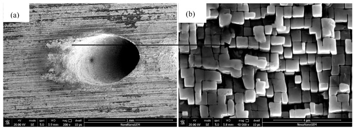 Figure 10