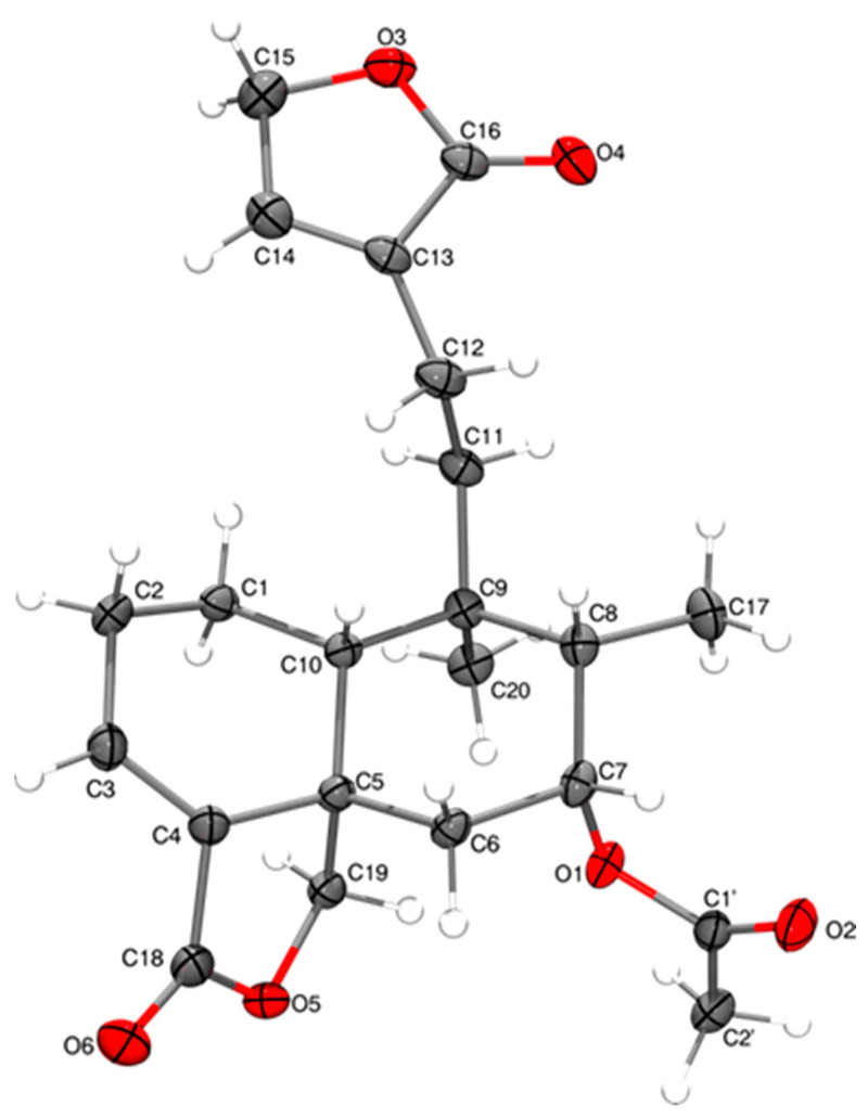 Figure 13