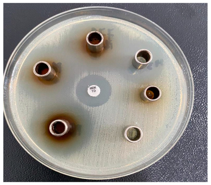 Figure 15