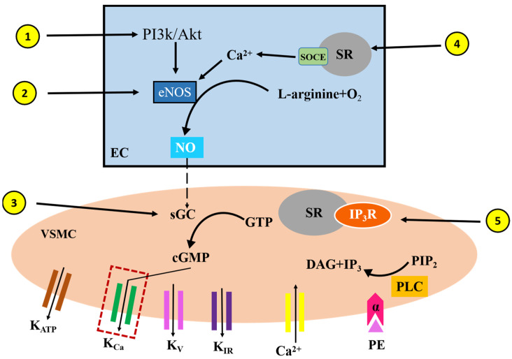 Figure 7