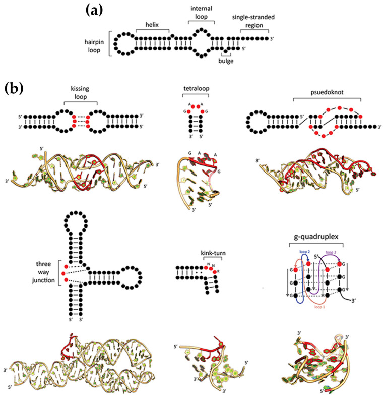Figure 36