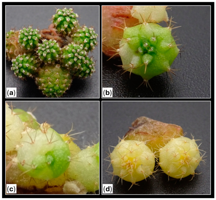 Figure 16