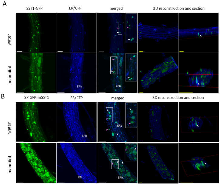 Figure 14