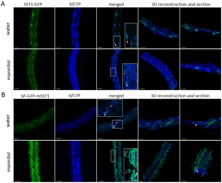 Figure 15