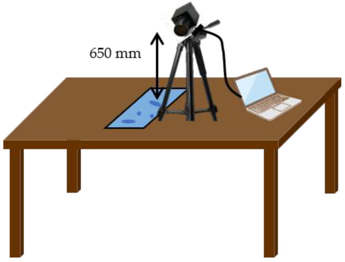 Figure 9