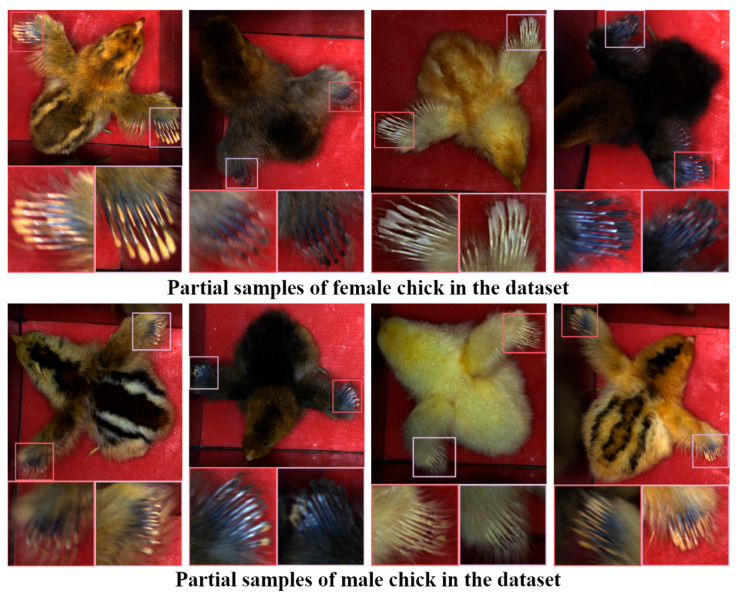 Figure 2