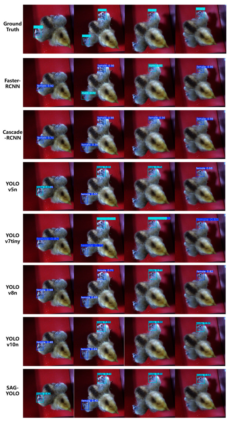 Figure 11